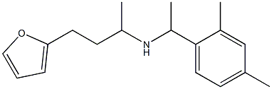 [1-(2,4-dimethylphenyl)ethyl][4-(furan-2-yl)butan-2-yl]amine Structure