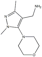 [1,3-dimethyl-5-(morpholin-4-yl)-1H-pyrazol-4-yl]methanamine Structure