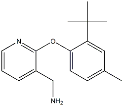 [2-(2-tert-butyl-4-methylphenoxy)pyridin-3-yl]methanamine 구조식 이미지