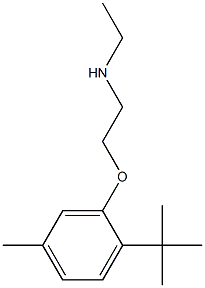 [2-(2-tert-butyl-5-methylphenoxy)ethyl](ethyl)amine Structure