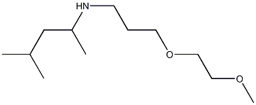 [3-(2-methoxyethoxy)propyl](4-methylpentan-2-yl)amine Structure