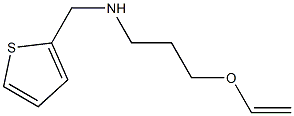 [3-(ethenyloxy)propyl](thiophen-2-ylmethyl)amine 구조식 이미지