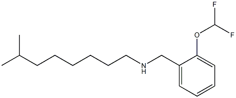 {[2-(difluoromethoxy)phenyl]methyl}(7-methyloctyl)amine Structure