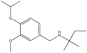 {[3-methoxy-4-(propan-2-yloxy)phenyl]methyl}(2-methylbutan-2-yl)amine 구조식 이미지