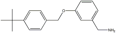{3-[(4-tert-butylphenyl)methoxy]phenyl}methanamine 구조식 이미지