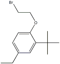 1-(2-bromoethoxy)-2-tert-butyl-4-ethylbenzene Structure