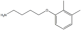 1-(4-aminobutoxy)-2,3-dimethylbenzene Structure