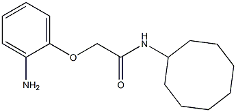 2-(2-aminophenoxy)-N-cyclooctylacetamide Structure
