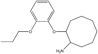 2-(2-propoxyphenoxy)cyclooctan-1-amine 구조식 이미지