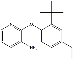2-(2-tert-butyl-4-ethylphenoxy)pyridin-3-amine 구조식 이미지