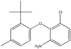 2-(2-tert-butyl-4-methylphenoxy)-3-chloroaniline 구조식 이미지