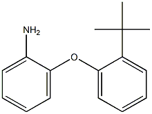 2-(2-tert-butylphenoxy)aniline 구조식 이미지