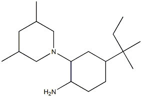 2-(3,5-dimethylpiperidin-1-yl)-4-(2-methylbutan-2-yl)cyclohexan-1-amine Structure