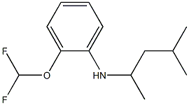 2-(difluoromethoxy)-N-(4-methylpentan-2-yl)aniline Structure