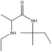 2-(ethylamino)-N-(2-methylbutan-2-yl)propanamide 구조식 이미지