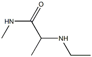 2-(ethylamino)-N-methylpropanamide 구조식 이미지