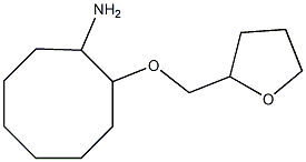 2-(oxolan-2-ylmethoxy)cyclooctan-1-amine 구조식 이미지