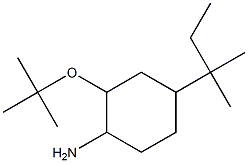 2-(tert-butoxy)-4-(2-methylbutan-2-yl)cyclohexan-1-amine Structure