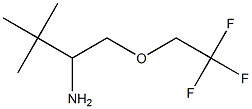 2,2-dimethyl-1-[(2,2,2-trifluoroethoxy)methyl]propylamine Structure