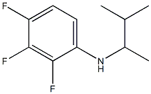 2,3,4-trifluoro-N-(3-methylbutan-2-yl)aniline Structure