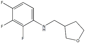 2,3,4-trifluoro-N-(oxolan-3-ylmethyl)aniline Structure