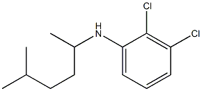 2,3-dichloro-N-(5-methylhexan-2-yl)aniline Structure