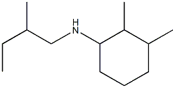 2,3-dimethyl-N-(2-methylbutyl)cyclohexan-1-amine Structure