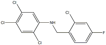 2,4,5-trichloro-N-[(2-chloro-4-fluorophenyl)methyl]aniline Structure