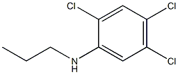 2,4,5-trichloro-N-propylaniline Structure