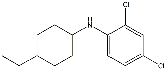 2,4-dichloro-N-(4-ethylcyclohexyl)aniline Structure