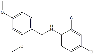 2,4-dichloro-N-[(2,4-dimethoxyphenyl)methyl]aniline 구조식 이미지