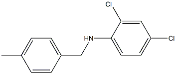 2,4-dichloro-N-[(4-methylphenyl)methyl]aniline Structure