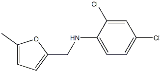 2,4-dichloro-N-[(5-methylfuran-2-yl)methyl]aniline 구조식 이미지