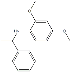 2,4-dimethoxy-N-(1-phenylethyl)aniline 구조식 이미지