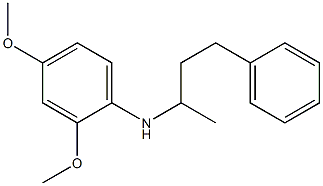 2,4-dimethoxy-N-(4-phenylbutan-2-yl)aniline 구조식 이미지