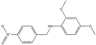 2,4-dimethoxy-N-[(4-nitrophenyl)methyl]aniline 구조식 이미지