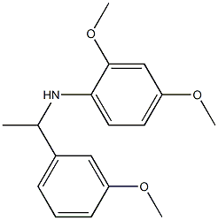2,4-dimethoxy-N-[1-(3-methoxyphenyl)ethyl]aniline 구조식 이미지