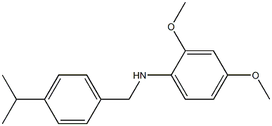 2,4-dimethoxy-N-{[4-(propan-2-yl)phenyl]methyl}aniline 구조식 이미지