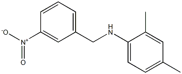 2,4-dimethyl-N-[(3-nitrophenyl)methyl]aniline Structure
