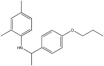 2,4-dimethyl-N-[1-(4-propoxyphenyl)ethyl]aniline Structure