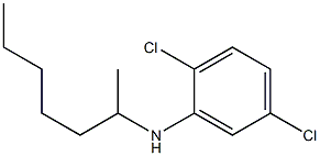 2,5-dichloro-N-(heptan-2-yl)aniline Structure