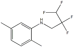 2,5-dimethyl-N-(2,2,3,3-tetrafluoropropyl)aniline Structure