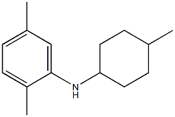2,5-dimethyl-N-(4-methylcyclohexyl)aniline Structure