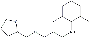 2,6-dimethyl-N-[3-(oxolan-2-ylmethoxy)propyl]cyclohexan-1-amine Structure
