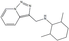 2,6-dimethyl-N-{[1,2,4]triazolo[3,4-a]pyridin-3-ylmethyl}cyclohexan-1-amine Structure