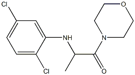 2-[(2,5-dichlorophenyl)amino]-1-(morpholin-4-yl)propan-1-one 구조식 이미지