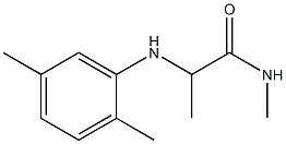 2-[(2,5-dimethylphenyl)amino]-N-methylpropanamide 구조식 이미지