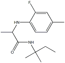2-[(2-fluoro-4-methylphenyl)amino]-N-(2-methylbutan-2-yl)propanamide Structure