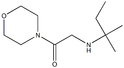 2-[(2-methylbutan-2-yl)amino]-1-(morpholin-4-yl)ethan-1-one Structure