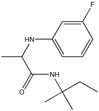 2-[(3-fluorophenyl)amino]-N-(2-methylbutan-2-yl)propanamide Structure